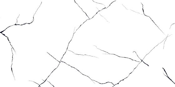 REGAL XL WHITE