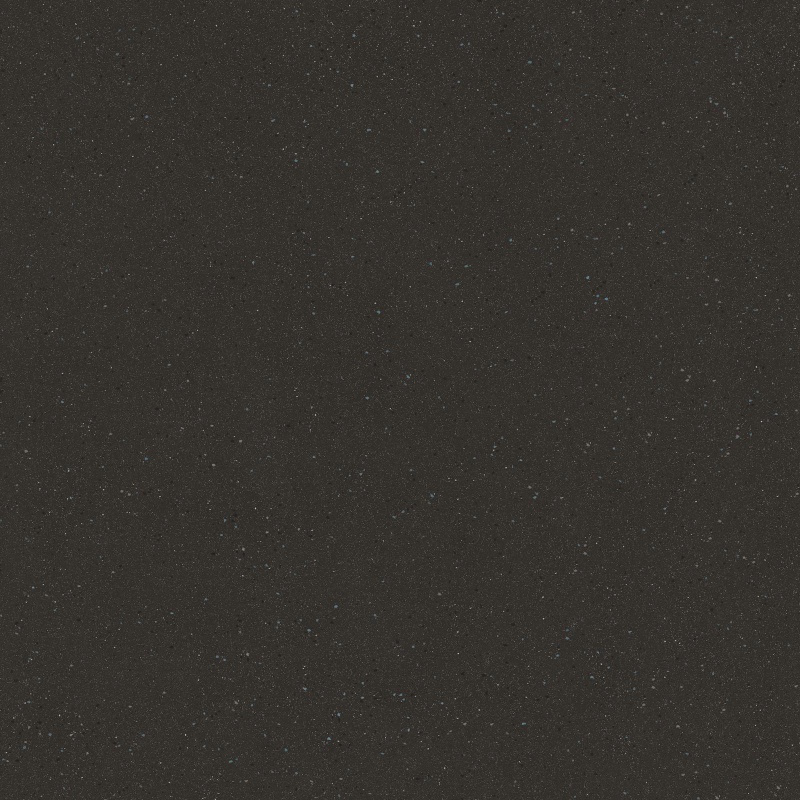 CARNIVAL COAL