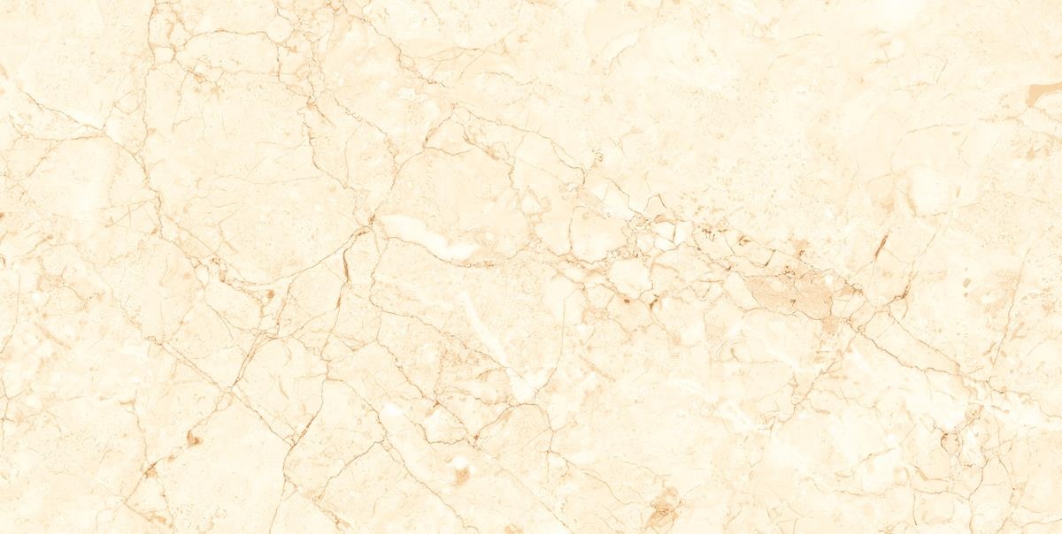 OLIVE CREMA