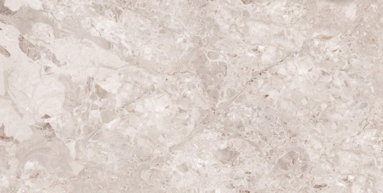 BRECCIA GRIS
